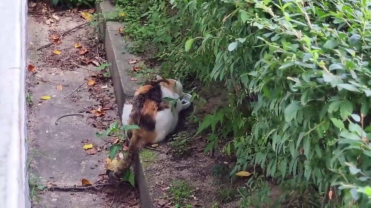 食事する後ろ姿