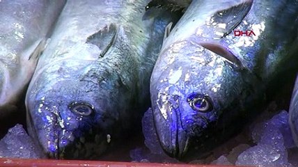 Lakerdalar 2 kiloluk kavanozlarda 400 liradan satışta