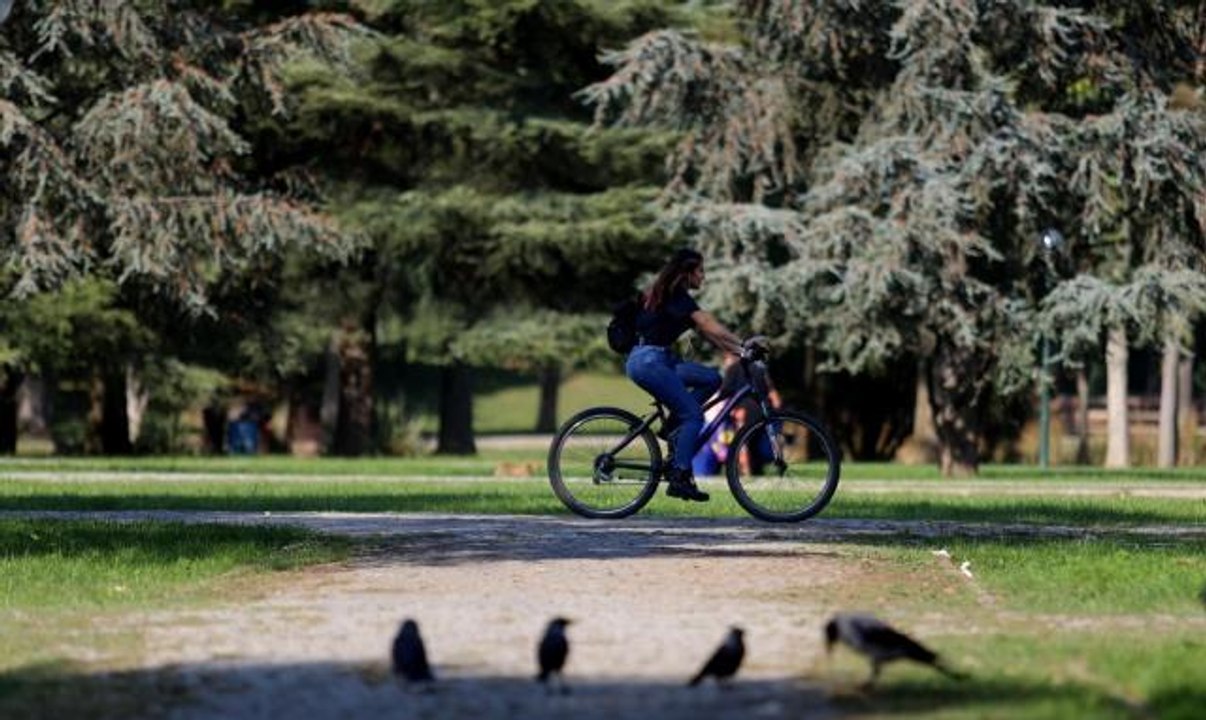 Botanik Park'ta sonbaharla birlikte renkli görüntüler