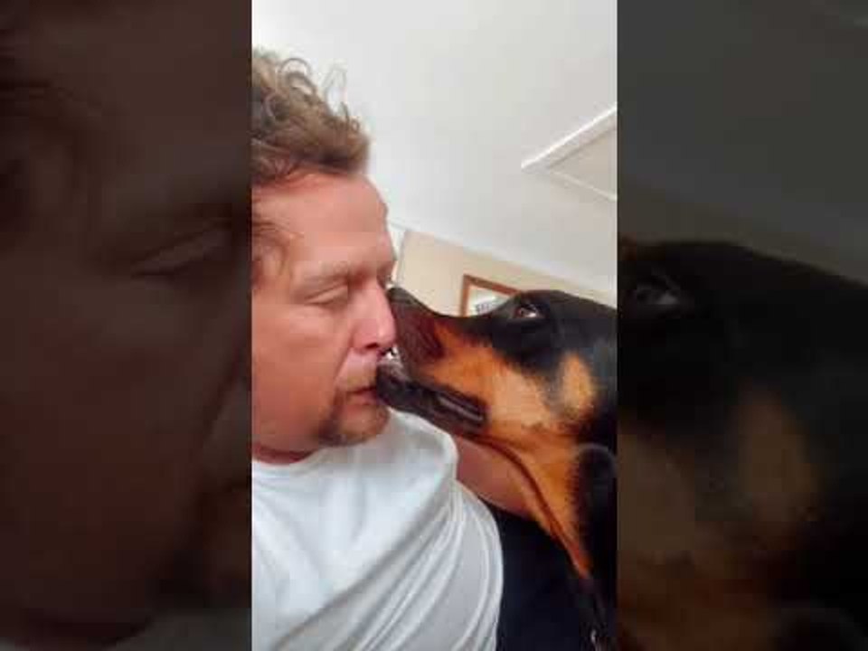 Dog Feels Comfortable Getting in Close