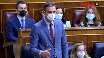 Sánchez, a  Casado: 