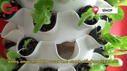 Çiğ köfre dükkanında kendi marulunu yetiştiriyor