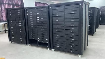 Omurgasızlar Müzesi'nde 2 bin böcek türü sergileniyor