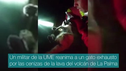 Un militar de la UME salva la vida a un gato exhausto por las cenizas del volcán