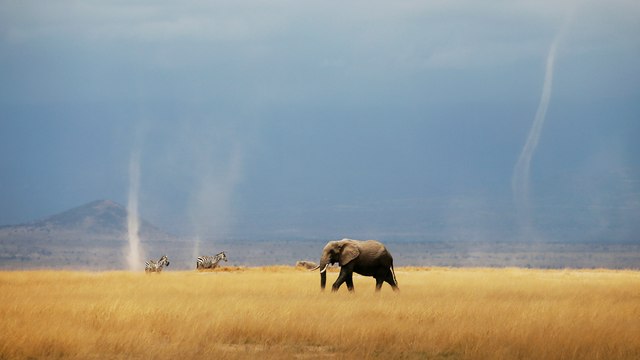 هيئة المناخ تحذر من تسارع الاحتباس الحراري وتداعياته في أفريقيا