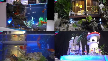 4 Amazing Ideas for Mini House with Aquarium You Can Make at Home @MCKook