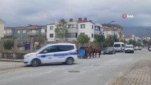 Sokak hayvanlarına yılkı atları da eklendi...Spil Dağı Milli Parkı'ndan şehre inen yılkı atları sokakları kendilerine mesken tuttu