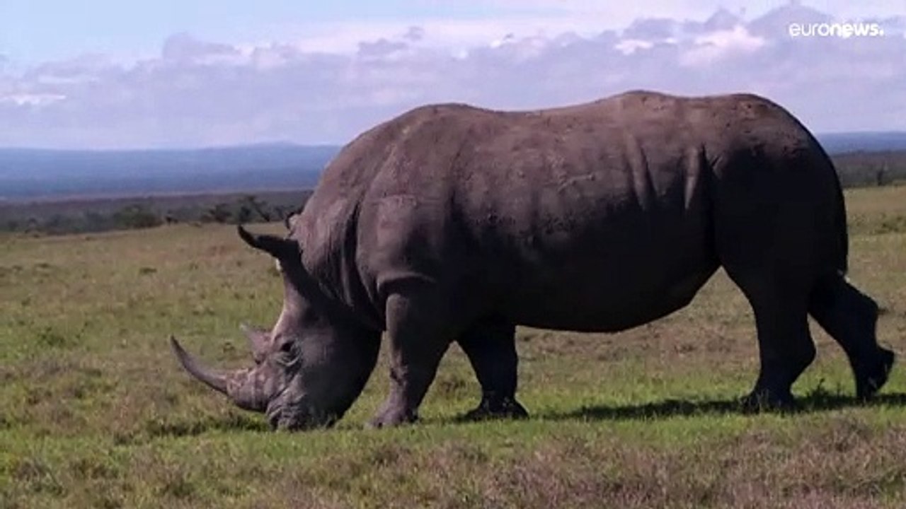 Húsz év múlva eltűnnek a gleccserek Afrikában