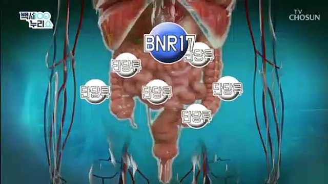 다이어터들 주목 체지방 감소에 좋은 ❛BNR17 유산균❜ TV CHOSUN 20211020 방송
