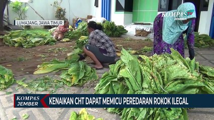 Apti Lumajang Meminta Cukai Hasil Tembakau Tidak Naik