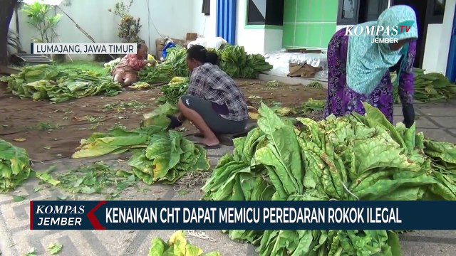 Apti Lumajang Meminta Cukai Hasil Tembakau Tidak Naik