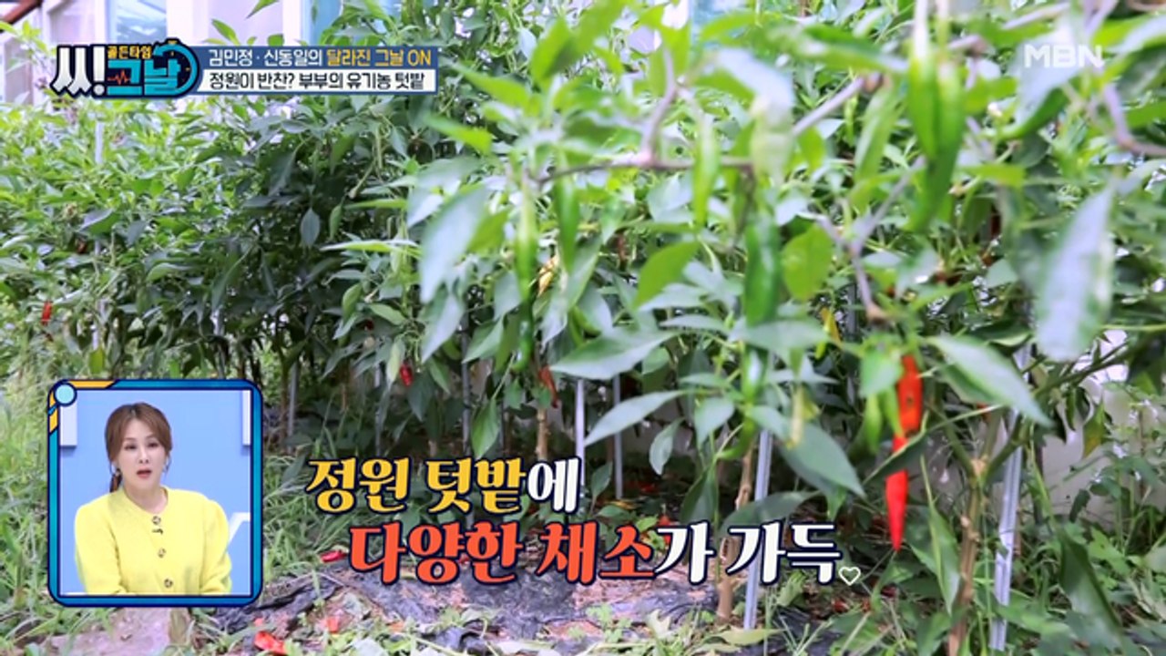 정원이 반찬! 김민정 부부의 유기농 텃밭