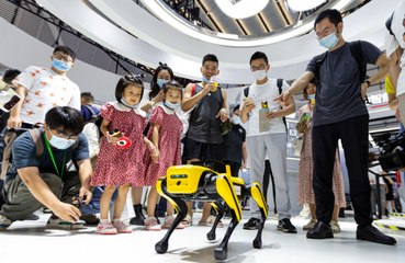 Robot dogs are now carrying robot guns