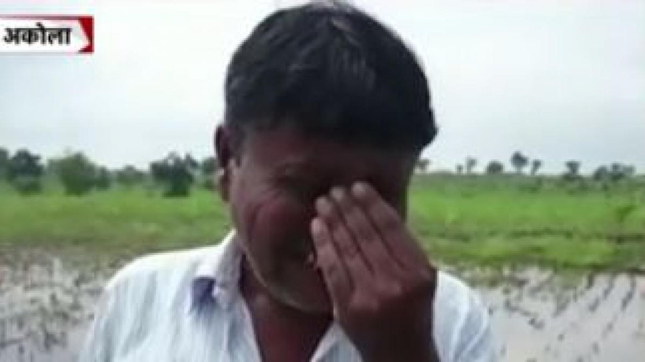 Rains damaged crops: Farmer appealed to the gov...