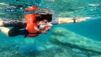 신비한 바닷속 세상으로 떠나요~♬ 바다 아래의 엄청난 세계가 펼쳐지다!