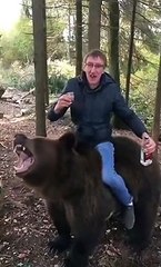 Un Russe ivre s'amuse sur le dos d'un ours !