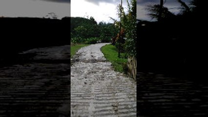 Scooter Crosses Sketchy Bridge