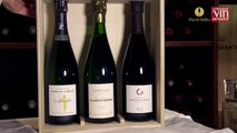 Pour les fêtes, offrez-vous trois champagnes de jeunes vignerons sur le site Plus de Bulles