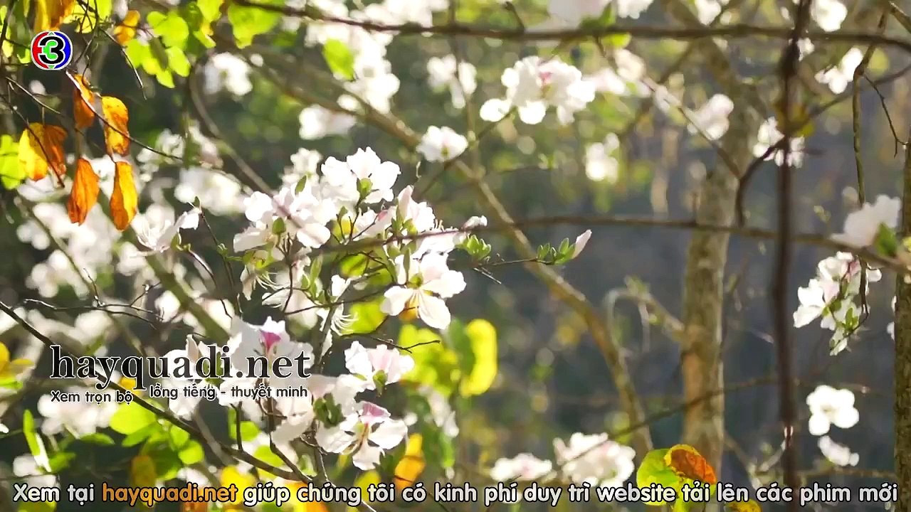 Miễn Trời Cao Còn Có Ánh Dương Tập 5 - THVL1 lồng tiếng tap 6 - Phim Thái Lan - xem phim mien troi cao con co anh duong tap 5