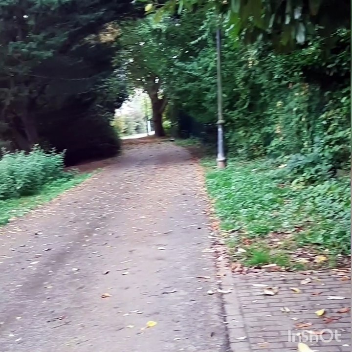 Plötzlich mega toller Himmel * Klassenfahrt zu Coronazeiten* Herbstliebe*    Corona Tag 571