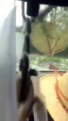 E continua chovendo gelo (agora a pouco em Guaraniacu PR)