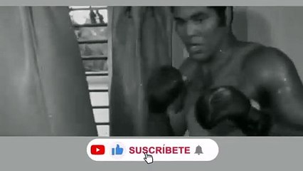 MI VIDA ES LUCHA | La serie con sentido social