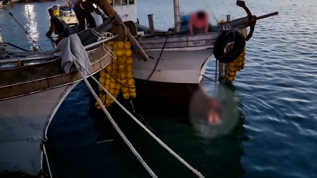 어선 계류 작업하던 50대 추락...해경 구조 / YTN