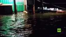 فيديو يظهر فيضانات عارمة في مدينة هندية
