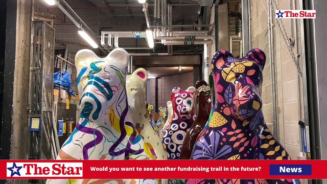 Would you want to see another fundraising trail in the future? If so, what animal could be next?