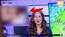 [이슈톡] 미국 지역 방송국, 생방송 중 '음란물 13초' 송출