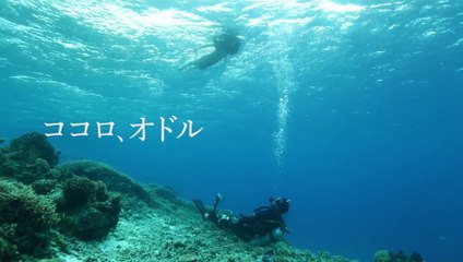 OKINAWAN BLUE (2019) Trailer VO - JAPAN