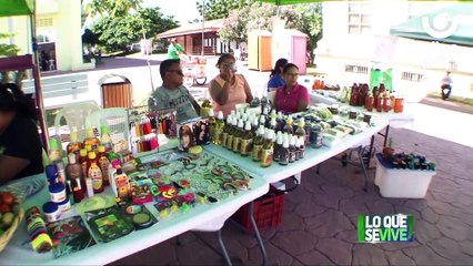 Mefcca e Inatec realizan lanzamiento del Proyecto Nica Mujer