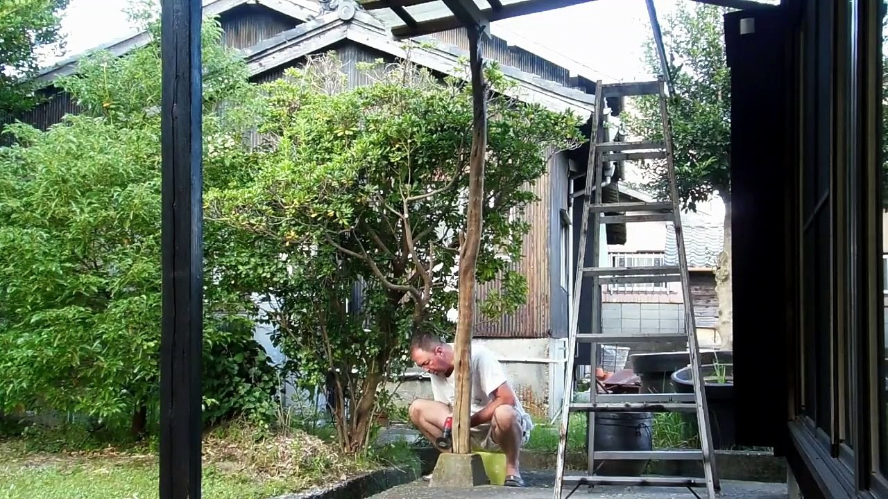 Tree Project at the Old Japanese Farm House