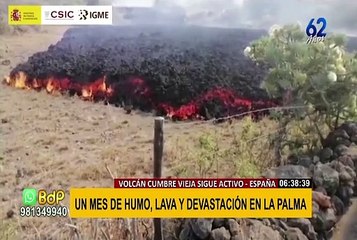 Volcán Cumbre Vieja: un mes de humo, lava y devastación sin final a la vista