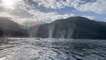 Person Witnesses Pod Of Humpback Whales Diving And Blowing Water At British Columbia Coast In Canada