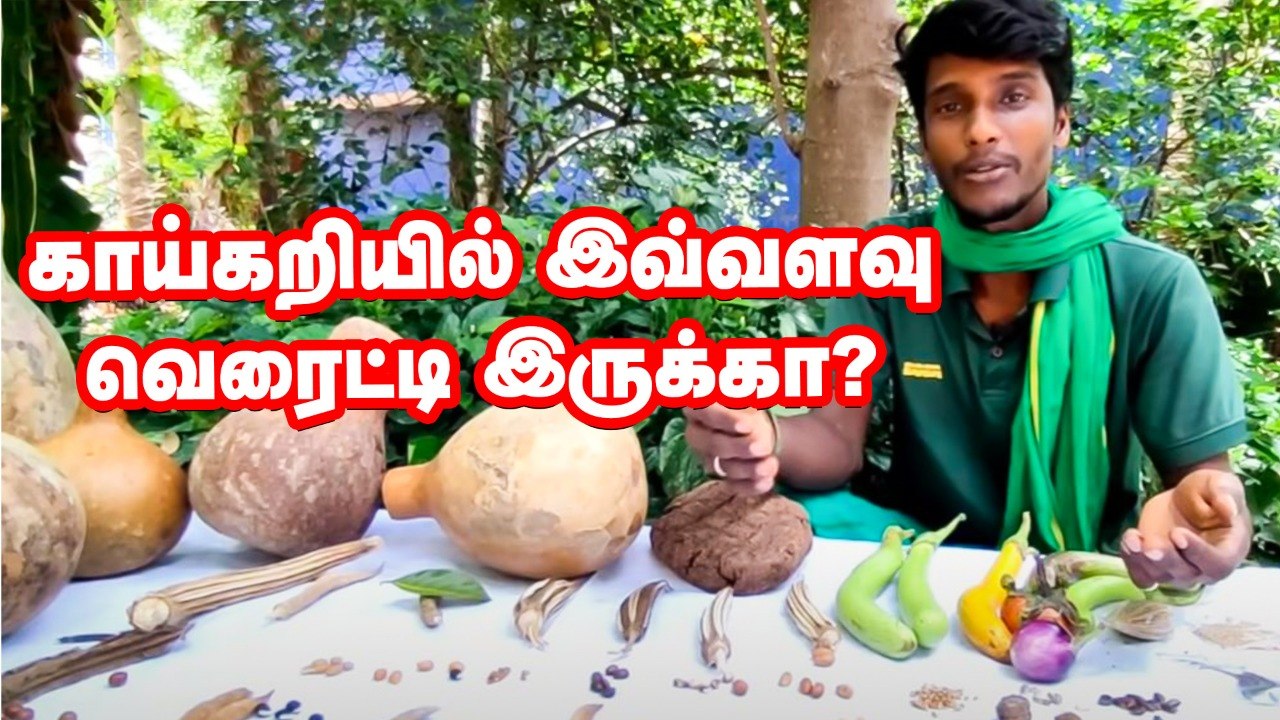 "கத்தரிக்காயில் மட்டும் 4,000 ரகங்கள் இருந்திருக்கு!"  ஆச்சர்யப்படுத்தும் பாண்டிச்சேரி இளைஞர்
