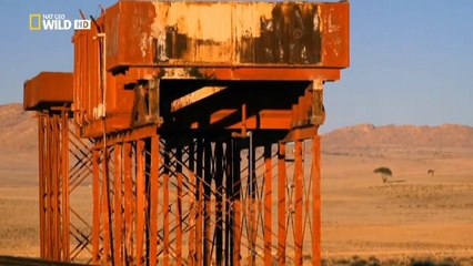 Los caballos salvajes del namib. El salvaje oeste africano.