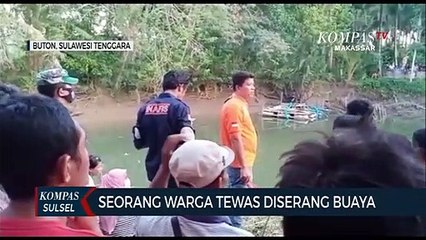 Seorang Warga Tewas Diserang Buaya