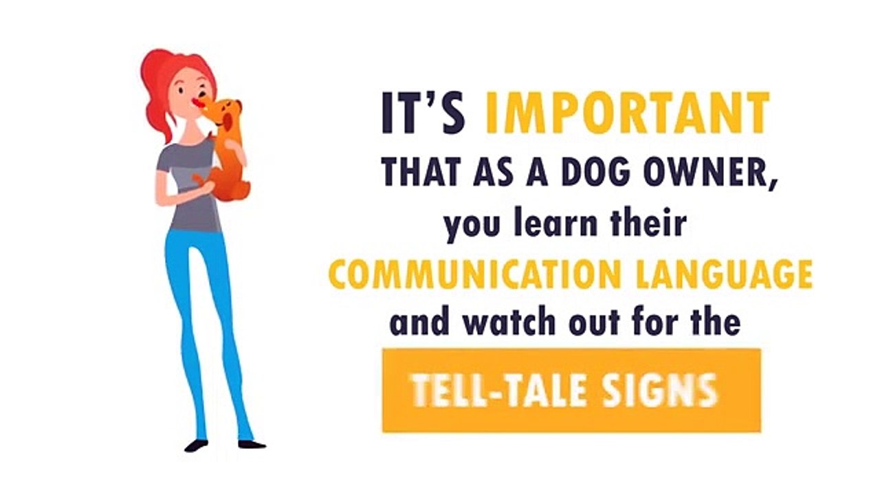 Dogs Language Explained_ How to Understand Your...