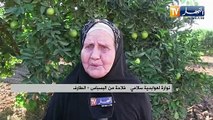 الطارف : الحاجة نوارة ..قصة فلاحة سبعينية في خدمة الأرض