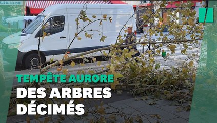 Tải video: Arbres tombés, toitures arrachées... Les images des dégâts de la tempête Aurore