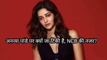 अनन्या पांडेय के घर NCB का छापा, 'ये रिश्ता क्या कहलाता है' में आएगा नया मोड़। Entertainment News