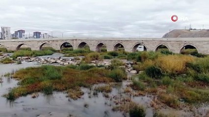 Kızılırmak otlağa dönüştü