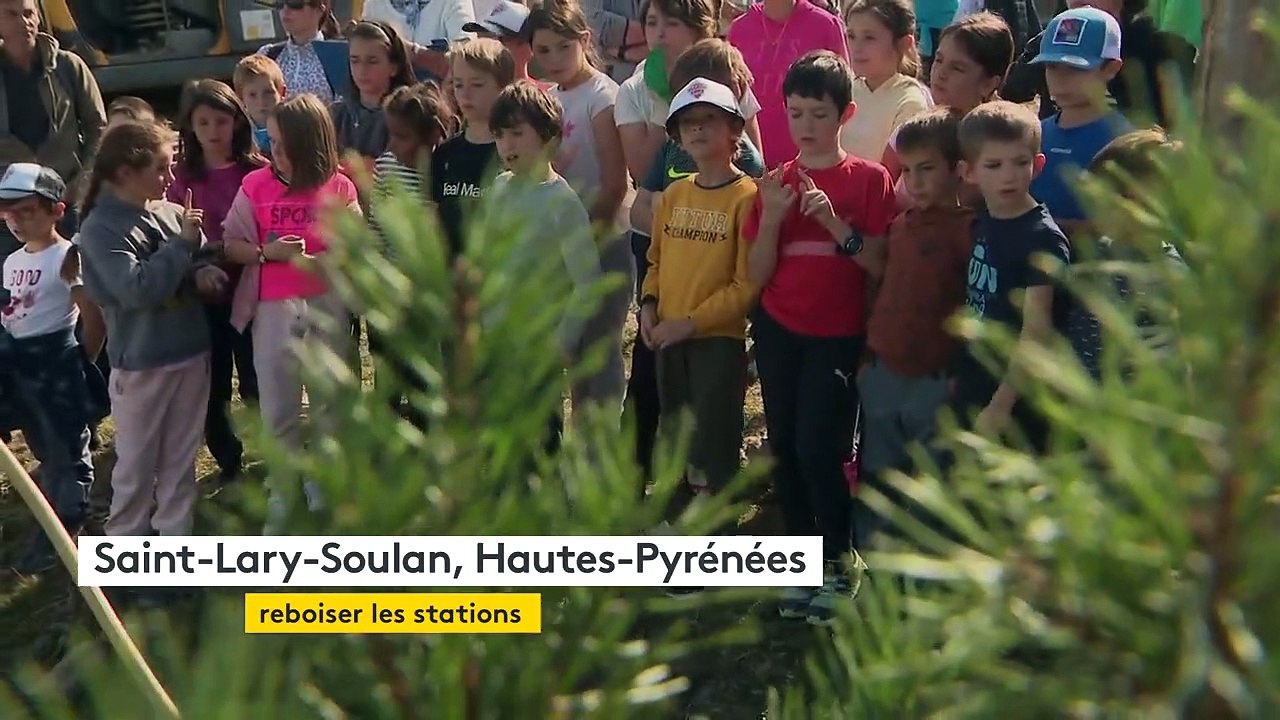 Dans les Pyrénées, la station de Saint-Lary lance une campagne de reboisement sur son domaine skiable