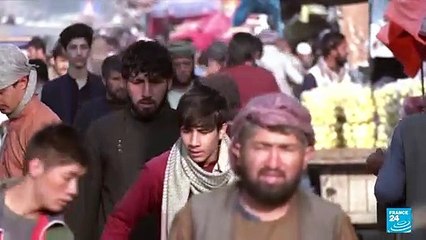 Afghanistan talks: Russia, China, Iran to work with Taliban towards 'regional stability'