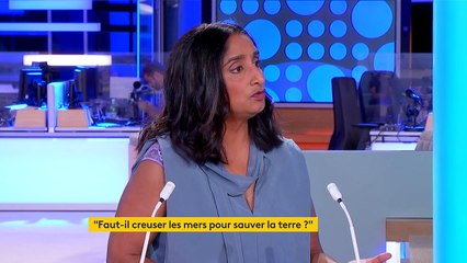 Les océans, lieu de bataille pour les métaux rares, "le pétrole du XXIe siècle"