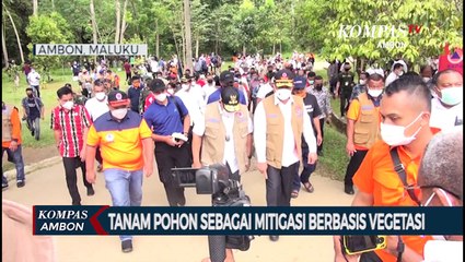 BNPB dan Pemprov Maluku Tanam Pohon Sebagai Mitigasi Berbasis Vegetasi