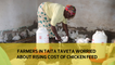 Farmers in Taita Taveta worried about rising cost of chicken feed