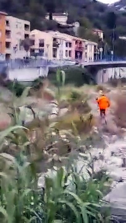 Des sangliers poursuivis par des chasseurs en pleine ville dans les Alpes-Maritimes