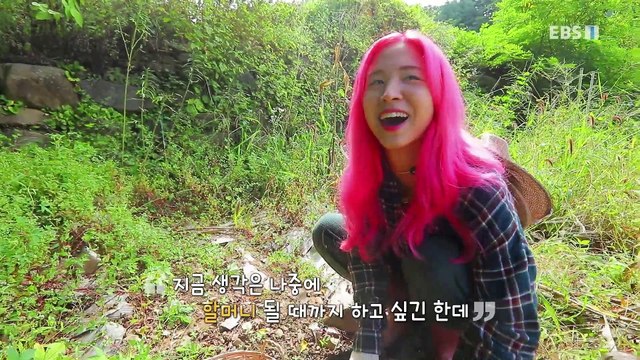 한국기행 - Korea travel_내가 바라던 바다 4부-나 홀로 리틀 포레스트_#001